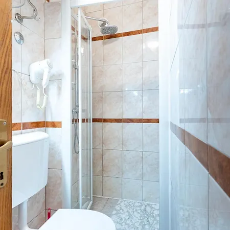 Guest house Romana 3*